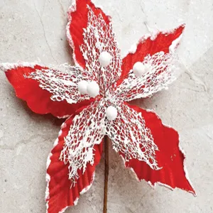Red Snowy Flower